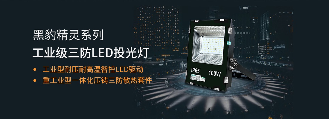 黑豹精靈系列泛光燈